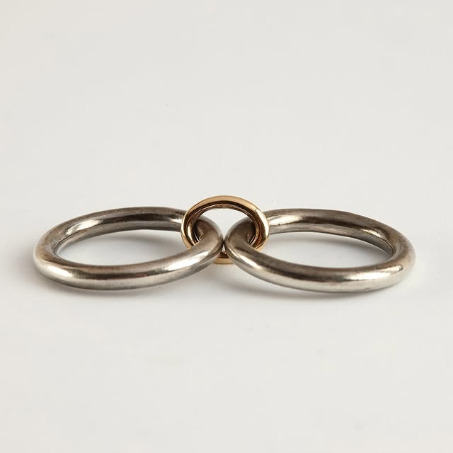 Multi_Link_Interlocking_Ring