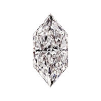 Dutch Marquise