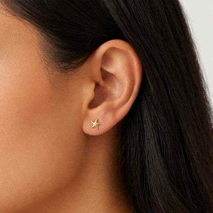 Gold Starfish Stud Earrings in 18K Gold